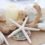 driftwood and seashells