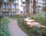 Shores of Panama Condominiums Shores of Panama Condominiums